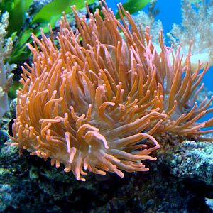 28.01.2012 Zoo Wroclaw