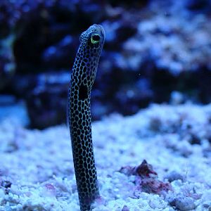 28.01.2012 Zoo Wroclaw