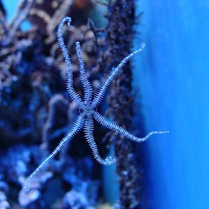 28.01.2012 Zoo Wroclaw