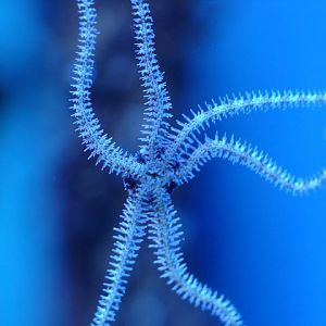 28.01.2012 Zoo Wroclaw