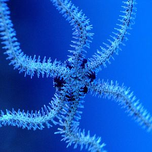 28.01.2012 Zoo Wroclaw