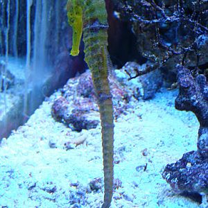 28.01.2012 Zoo Wroclaw