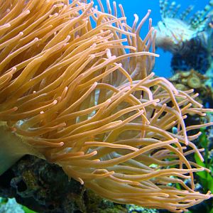 28.01.2012 Zoo Wroclaw