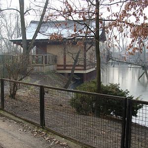 28.01.2012 Zoo Wroclaw