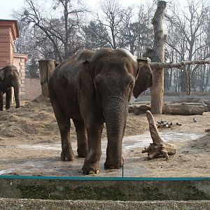 28.01.2012 Zoo Wroclaw