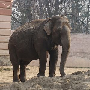 28.01.2012 Zoo Wroclaw