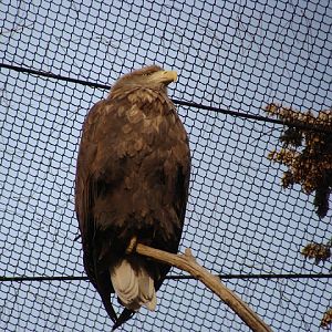 28.01.2012 Zoo Wroclaw