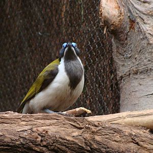 28.01.2012 Zoo Wroclaw