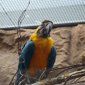 28.01.2012 Zoo Wroclaw