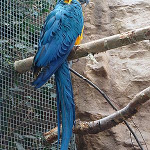 28.01.2012 Zoo Wroclaw