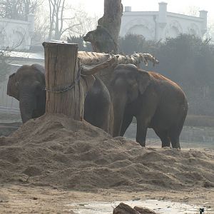28.01.2012 Zoo Wroclaw
