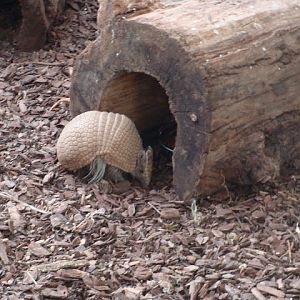 28.01.2012 Zoo Wroclaw