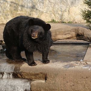 28.01.2012 Zoo Wroclaw