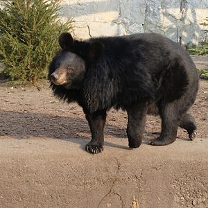 28.01.2012 Zoo Wroclaw