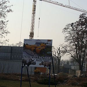 28.01.2012 Zoo Wroclaw