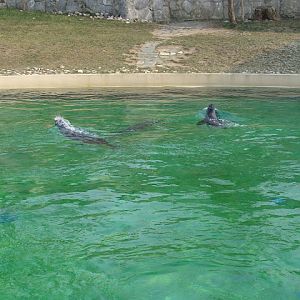 28.01.2012 Zoo Wroclaw