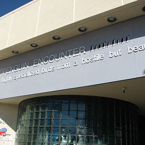 Penguin Encounter