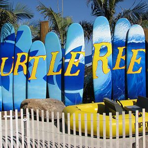 Turtle Reef
