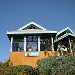 Blue Horizons - Black Vulture Holding
