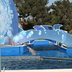 Blue Horizons - Bottlenose Dolphin