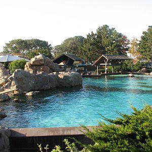 Rocky Point Preserve