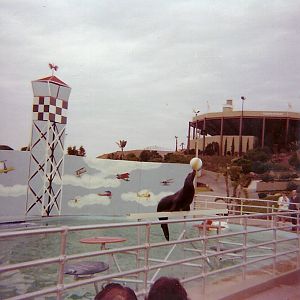 Sea Lion Show - Marineland of the Pacific - January 1977 (Closed 1987)