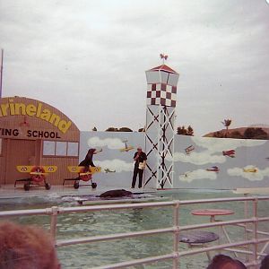 Sea Lion Show - Marineland of the Pacific - January 1977 (Closed 1987)