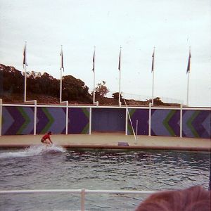 Dolphin Show - Marineland of the Pacific - January 1977 (Closed 1987)