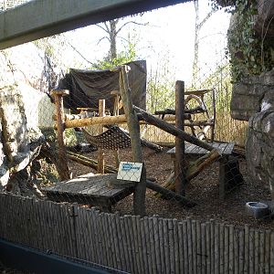 Red Panda Exhibit Expansion