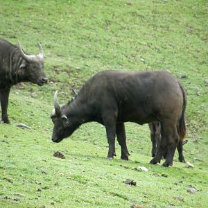 Cal_Dec_09_Jan_10_263