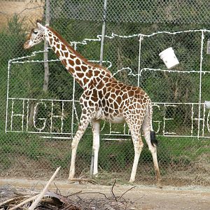 Cal_Dec_09_Jan_10_313