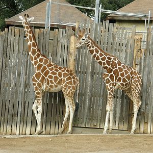 Cal_Dec_09_Jan_10_323