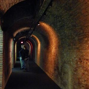 Tunnle of Weird and Wonderful