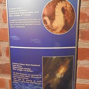 Sinage down the Weird and Wonderful tunnel