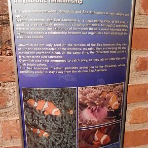 Sinage down the Weird and Wonderful tunnel