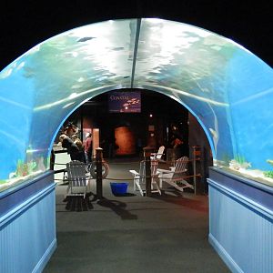 Overhead tank leading from the Weird and Wonderful tunnel into the Coastal