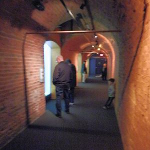 Tropical Reef tunnel