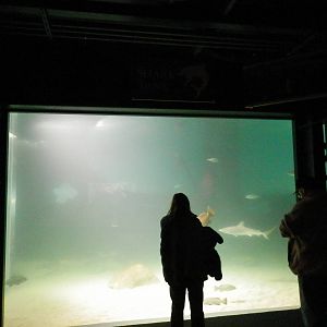 First view of Main Tank