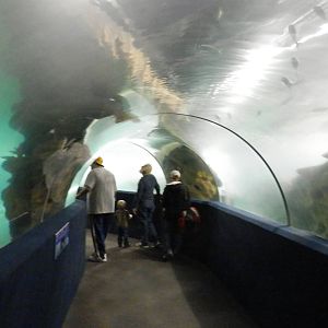 Main Tank Tunnel