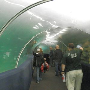 Main Tank Tunnel