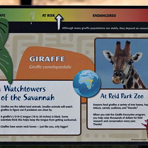 giraffe sign