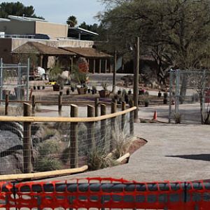 path to new elephant area