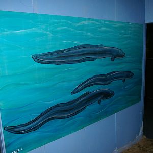 eel painting leading into the aquarium