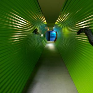 Green Tunnel leading into the aquarium