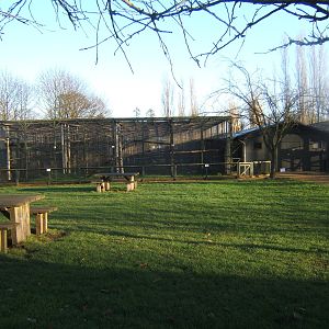 The largest of the Primate House`s