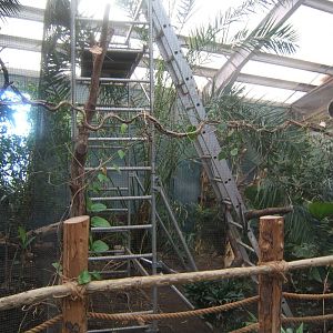 View of work in the old Red Bird of Paradise Aviary