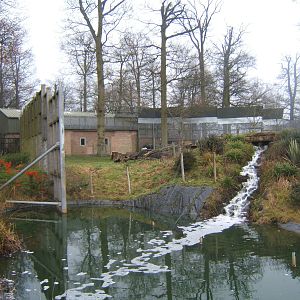 View of the outside Chimp enclosure