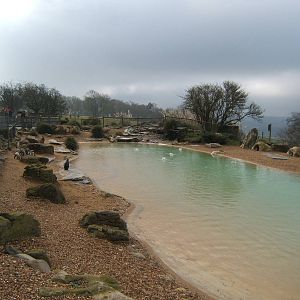 View of the Penguin enclosure