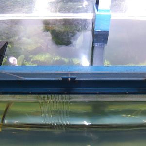 View of Diving Duck/Otter exhibit divide