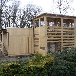 New enclosure for Eurasian lynxes and wildcats - under construction